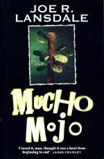 affiche du film Mucho mojo