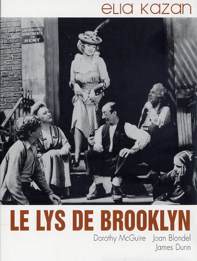 affiche du film Le Lys de Brooklyn