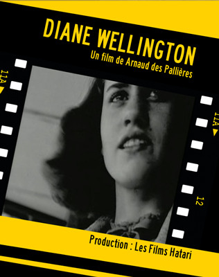 affiche du film Diane Wellington