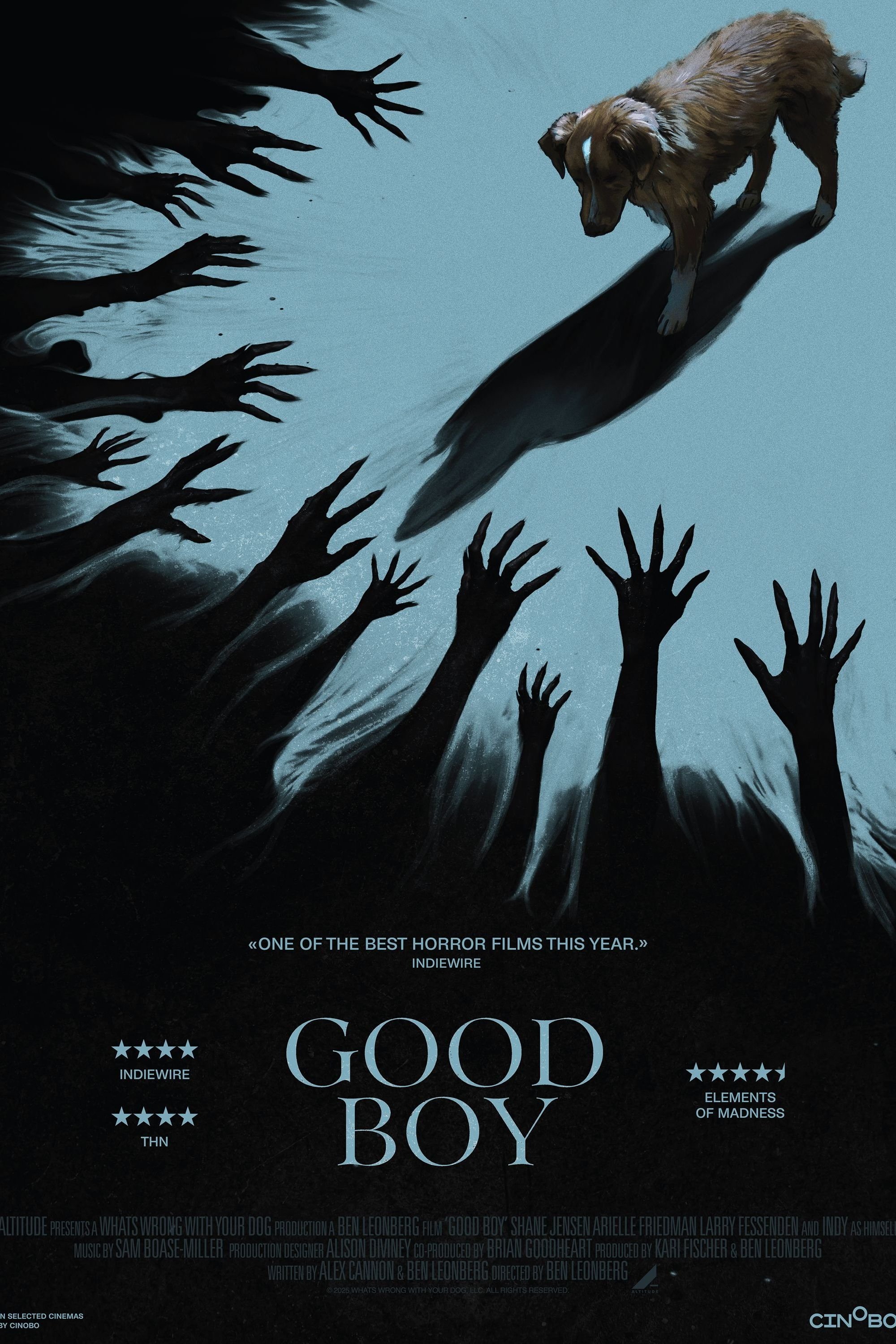 affiche du film Good Boy