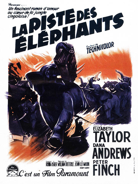 affiche du film La Piste des éléphants