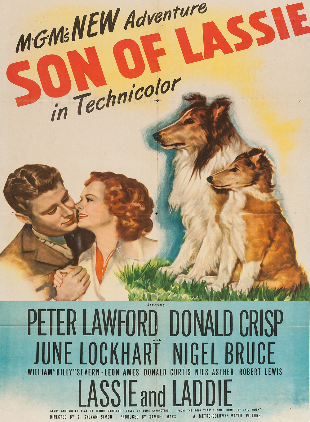 affiche du film Le fils de Lassie