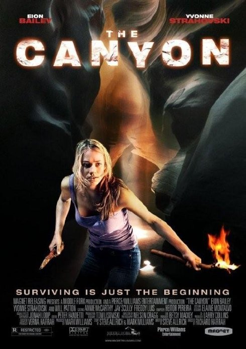 affiche du film The Canyon