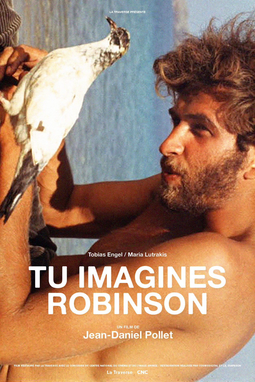 affiche du film Tu imagines Robinson