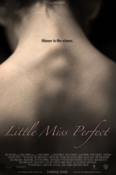 affiche du film Little Miss Perfect