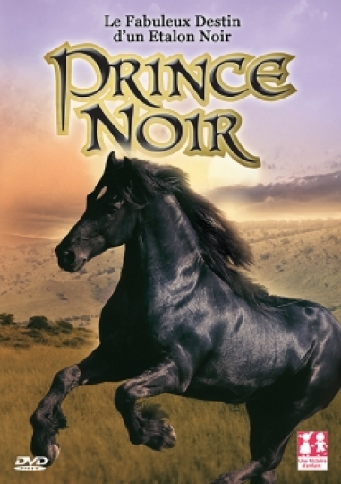 affiche du film Prince Noir