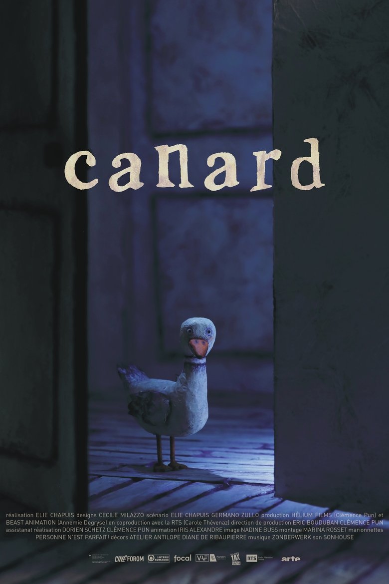 affiche du film Canard