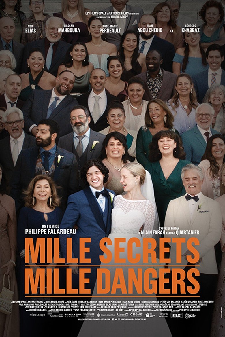 affiche du film Mille secrets mille dangers