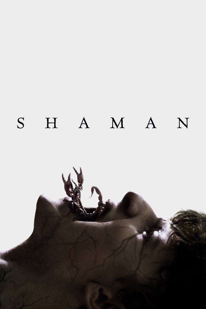 affiche du film Shaman