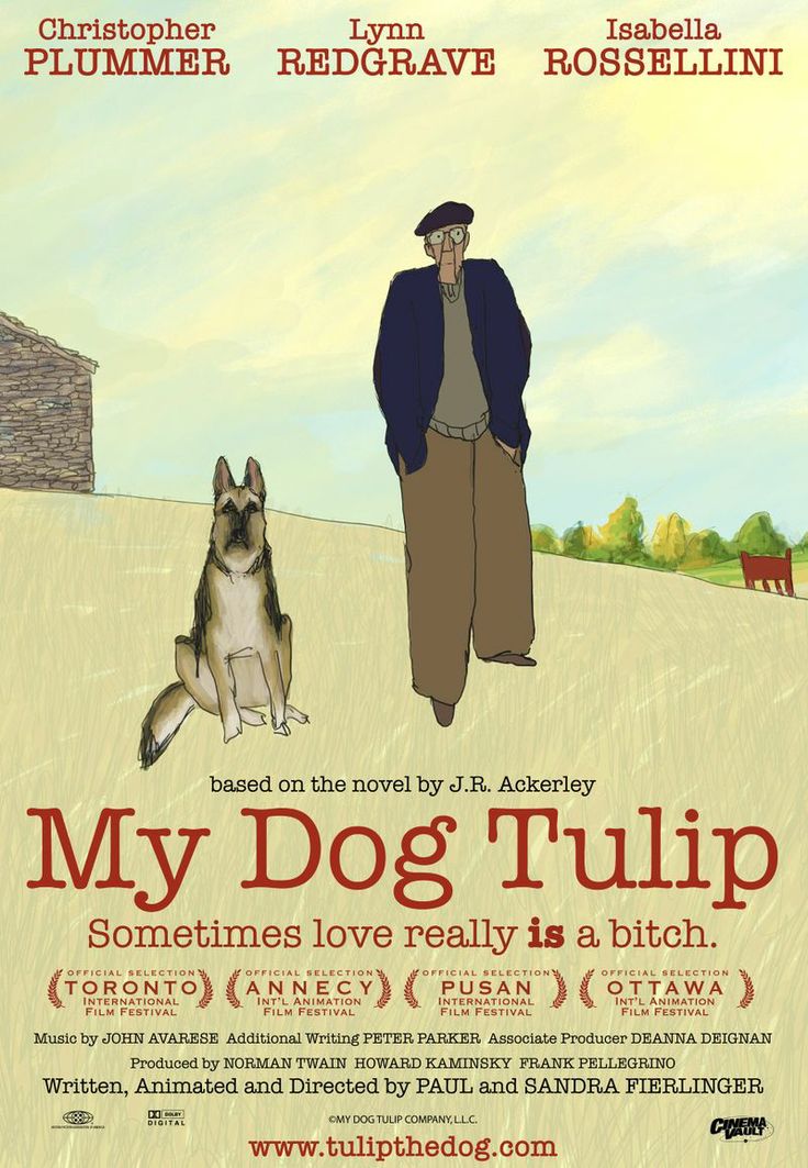 affiche du film Mon chien Tulipe