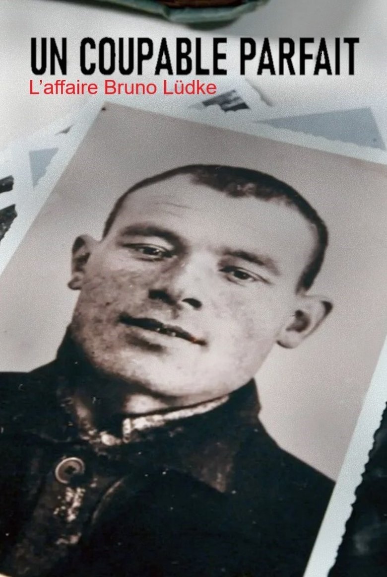 affiche du film Un coupable parfait : l'affaire Bruno Lüdke