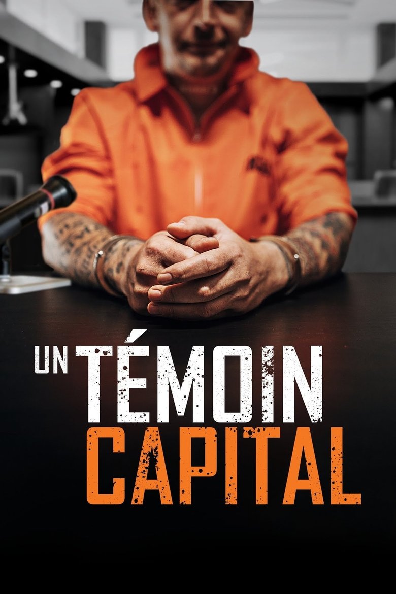 affiche du film Un témoin capital