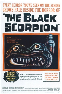 affiche du film Le Scorpion Noir