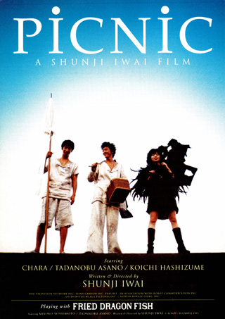 affiche du film Picnic