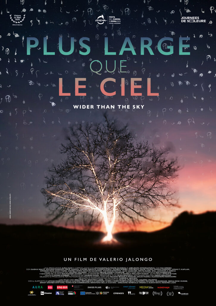 affiche du film Plus large que le ciel