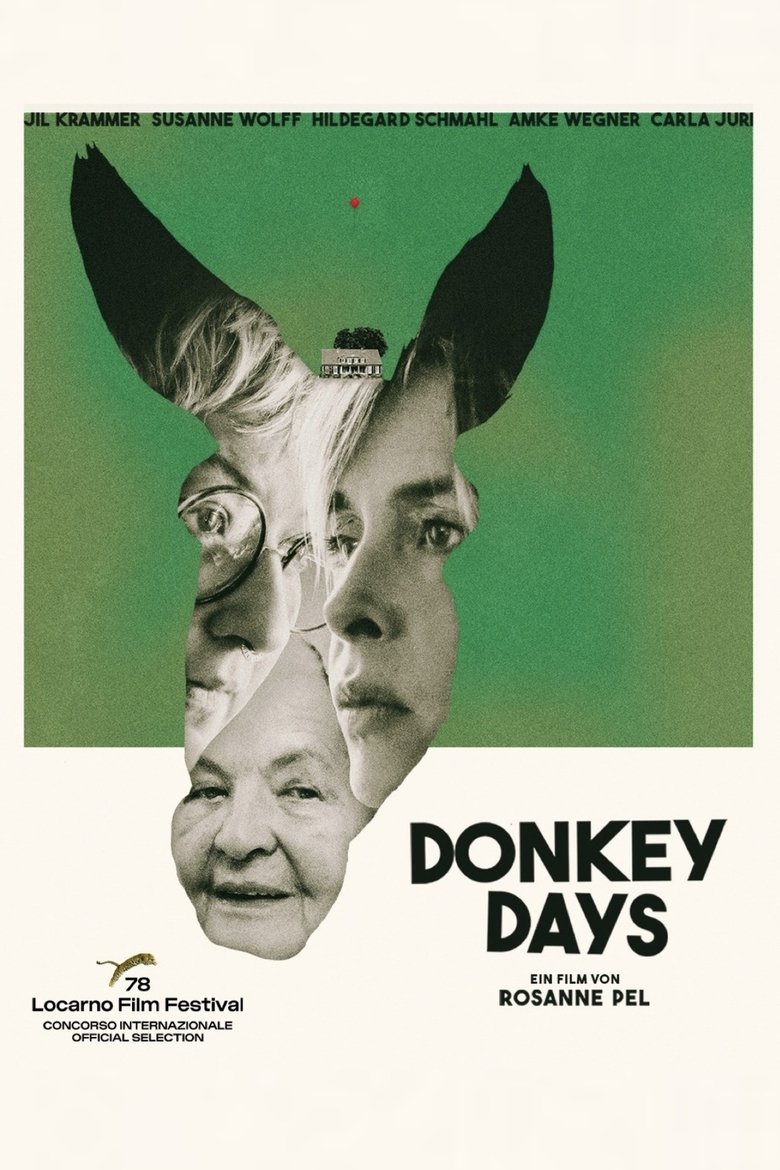 affiche du film Donkey Days