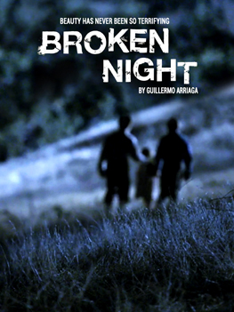 affiche du film Broken night