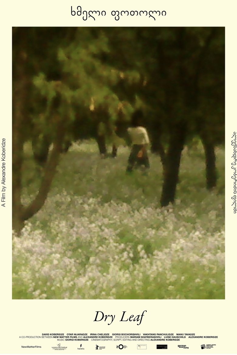 affiche du film Dry Leaf