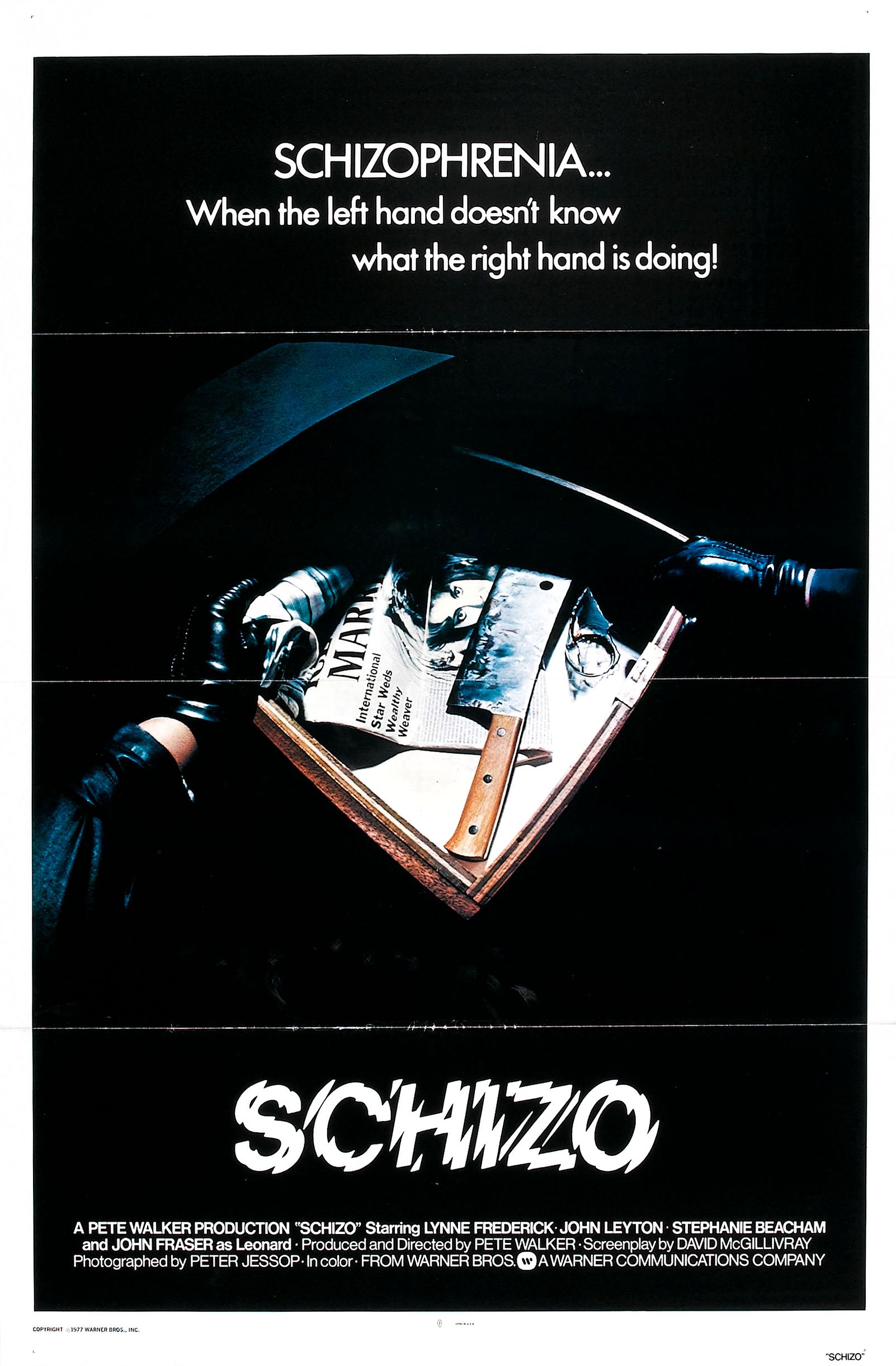 affiche du film Schizo