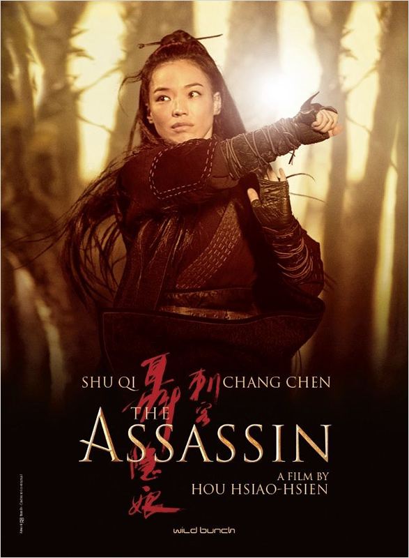 affiche du film The Assassin