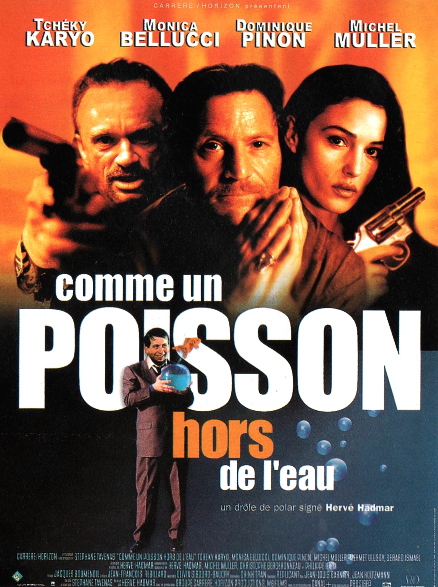 affiche du film Comme un poisson hors de l'eau