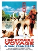 L'incroyable voyage à San Francisco (Homeward Bound II: Lost in San Francisco)