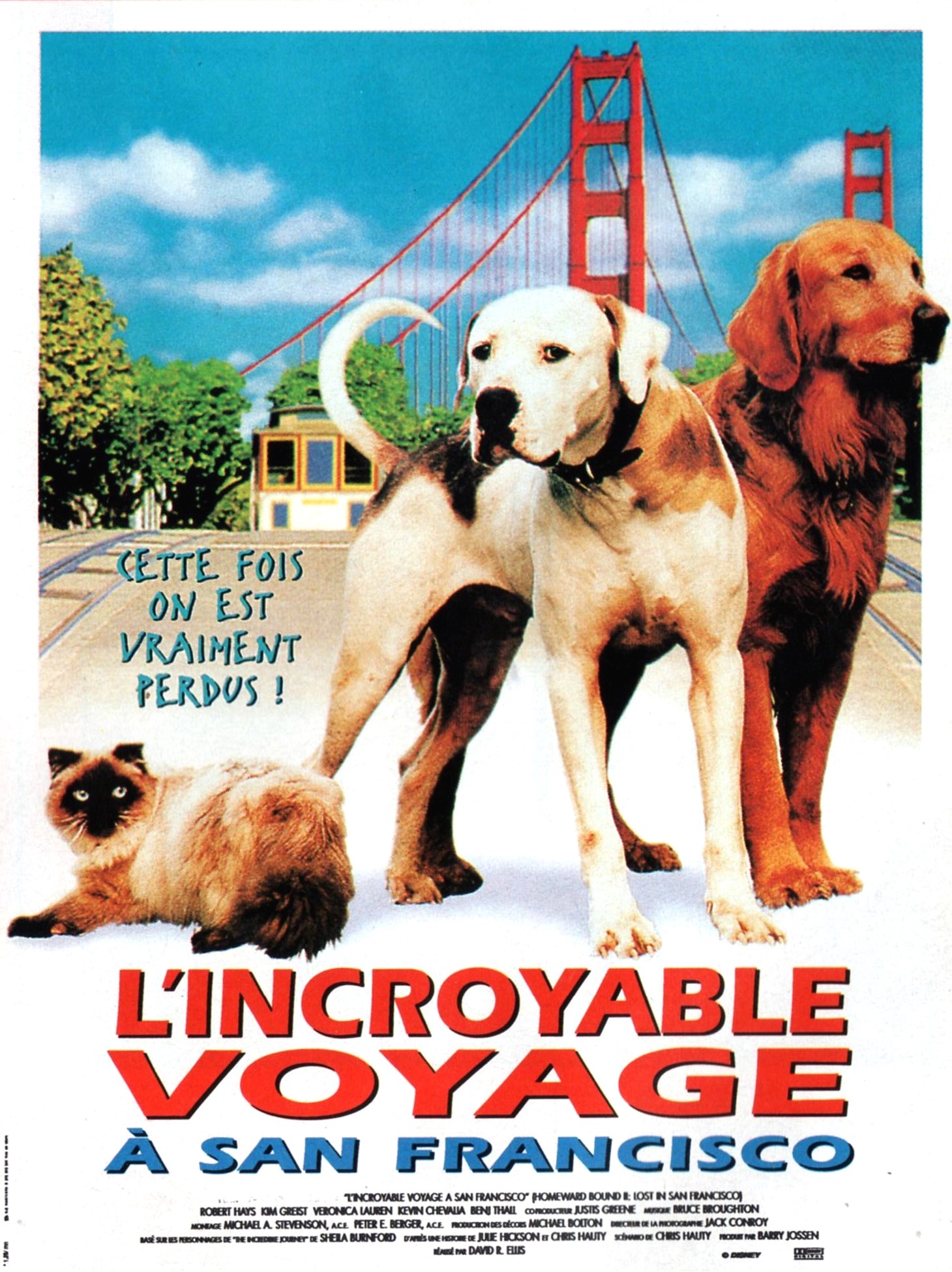 affiche du film L'incroyable voyage à San Francisco