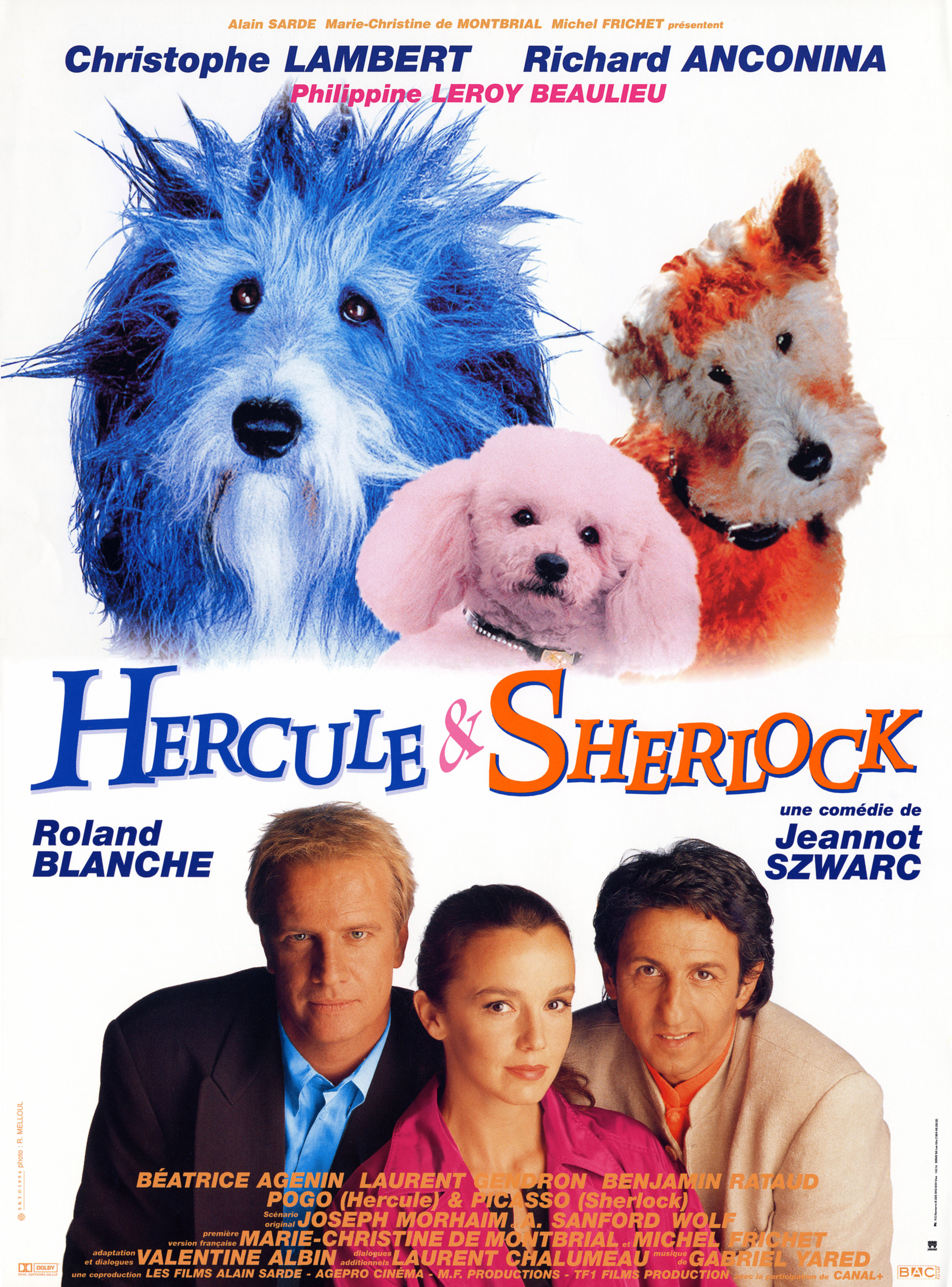affiche du film Hercule & Sherlock
