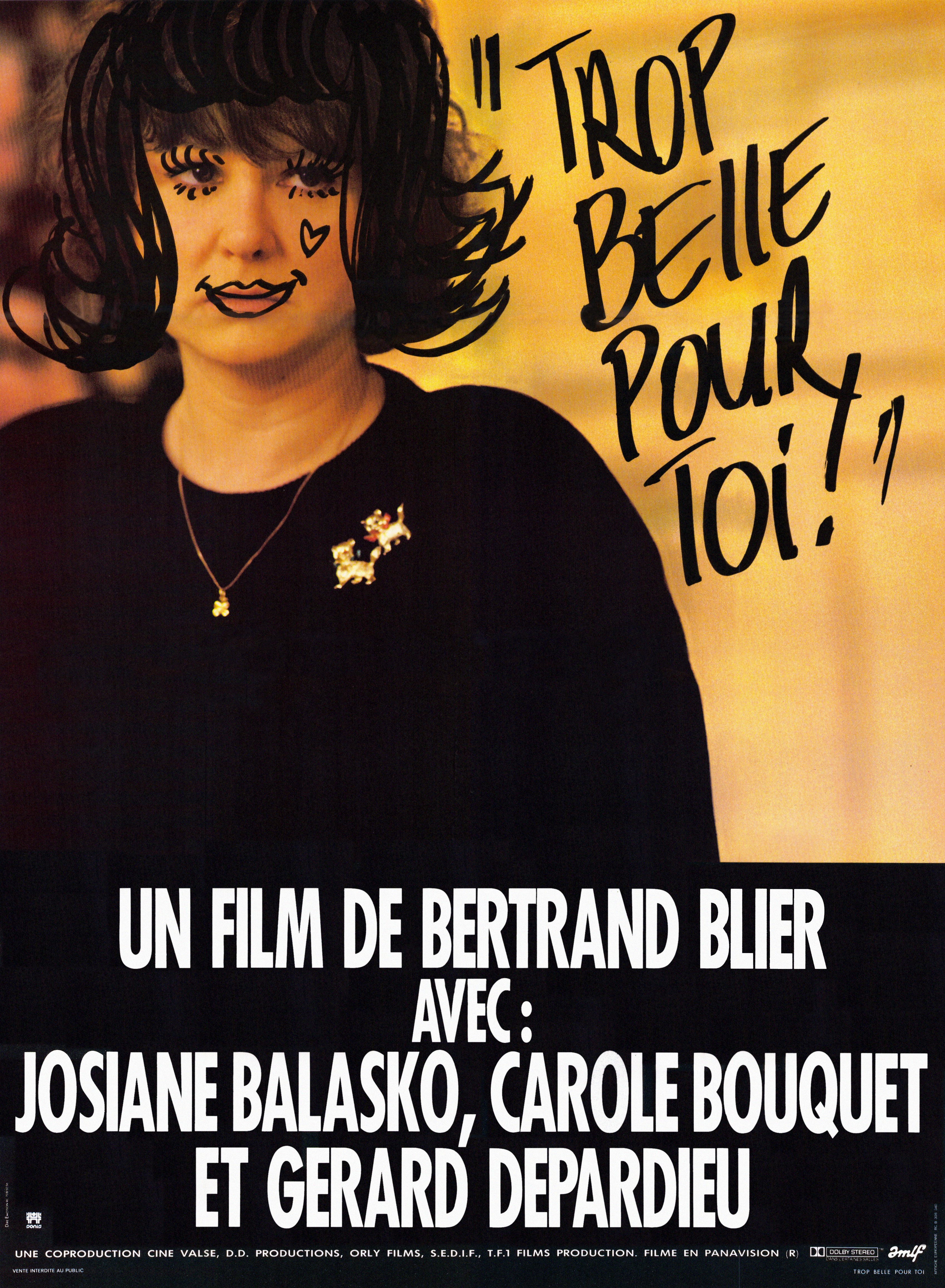 affiche du film Trop belle pour toi