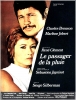 Le passager de la pluie