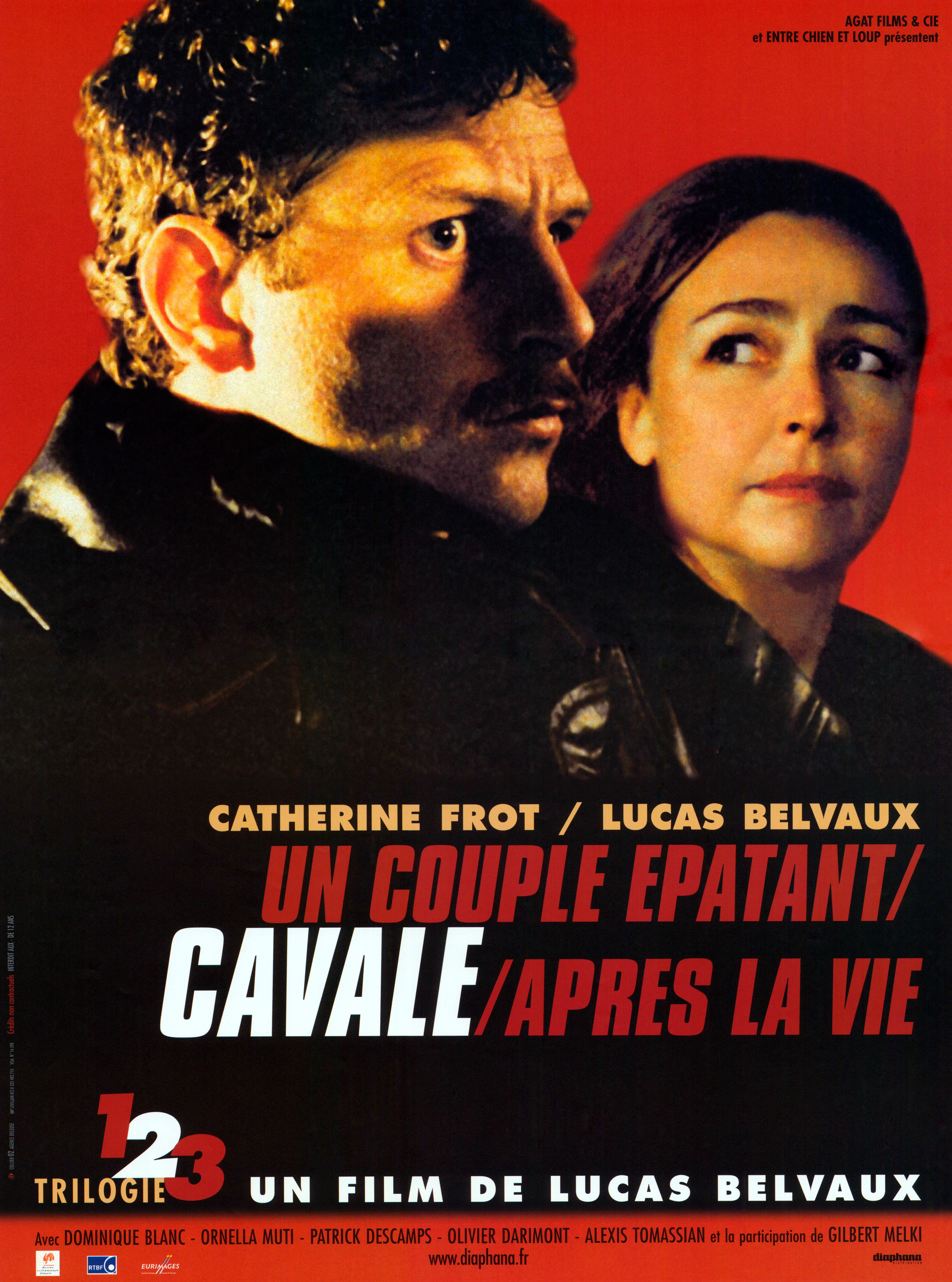 affiche du film Cavale