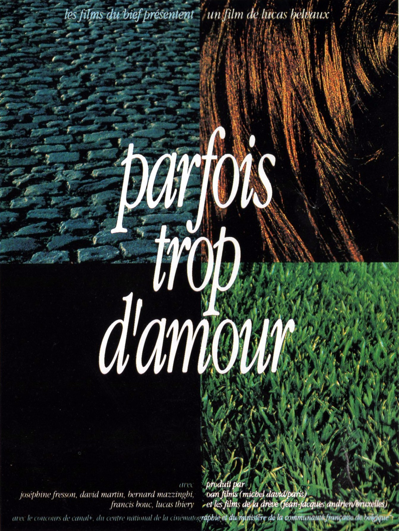 affiche du film Parfois trop d'amour