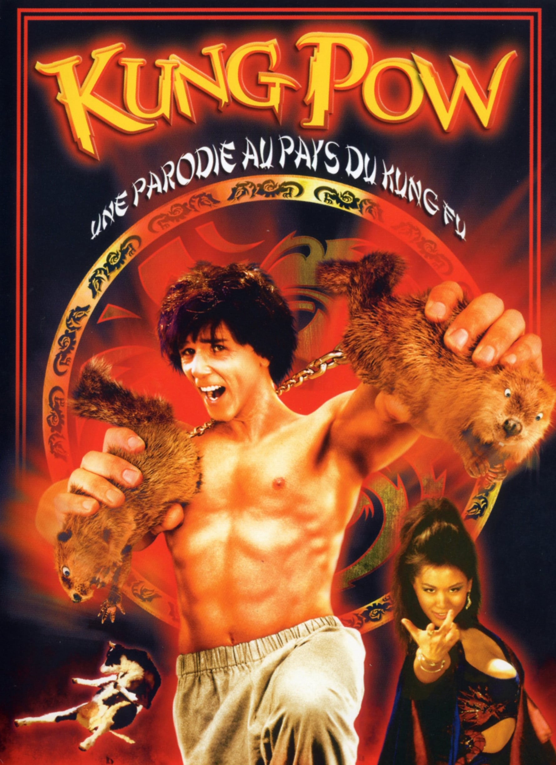 affiche du film Kung Pow