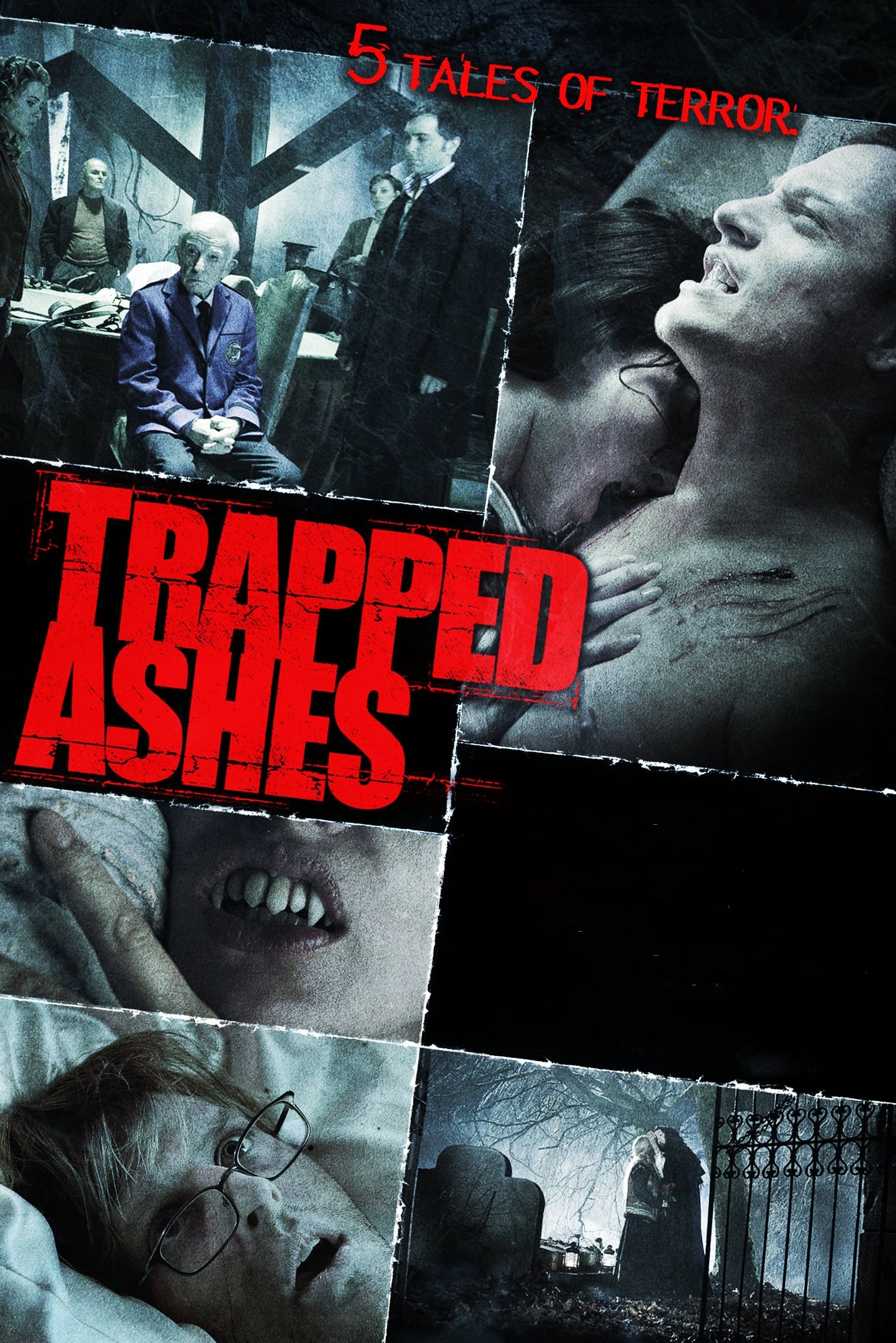 affiche du film Trapped Ashes