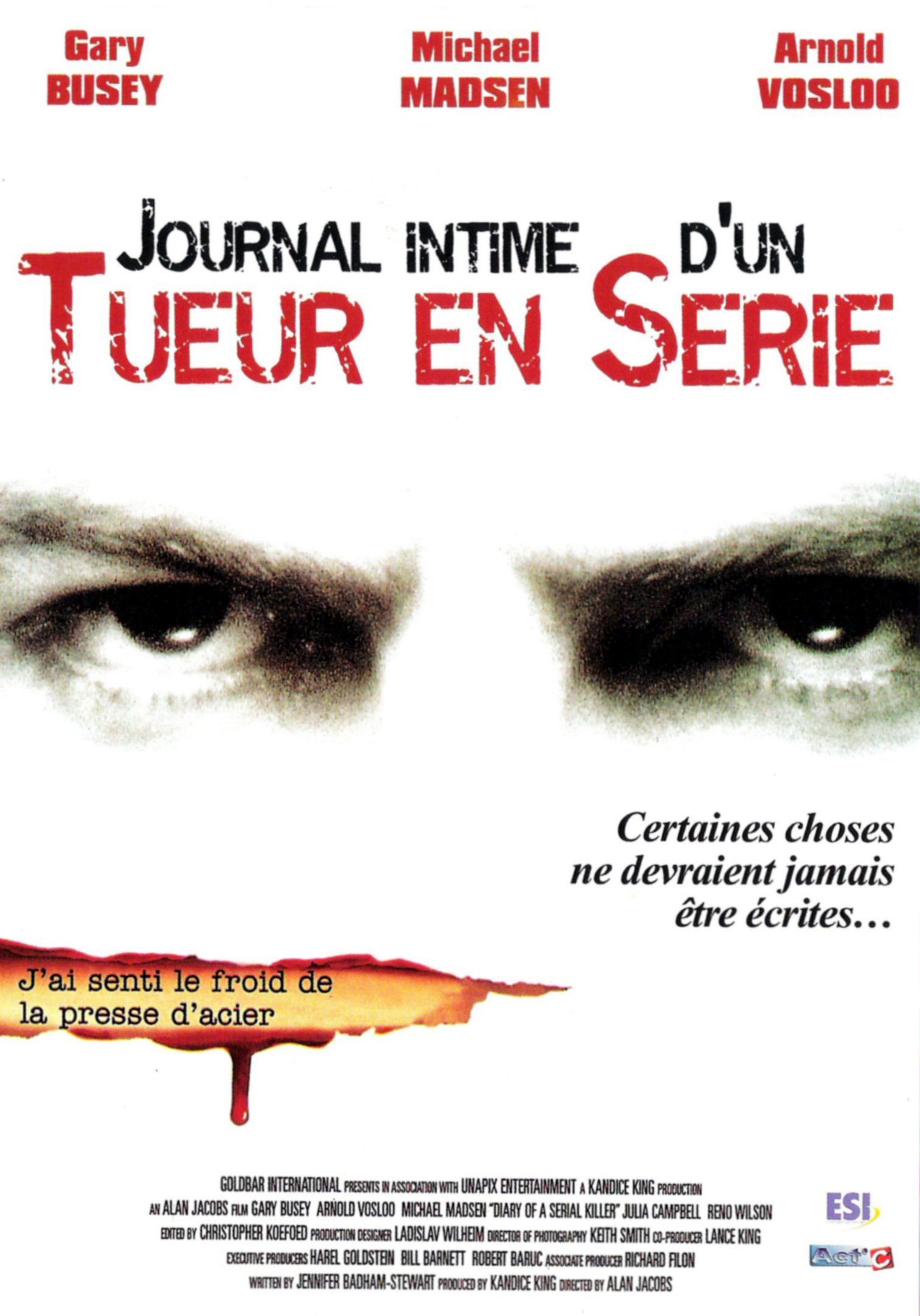 affiche du film Journal intime d'un tueur en série