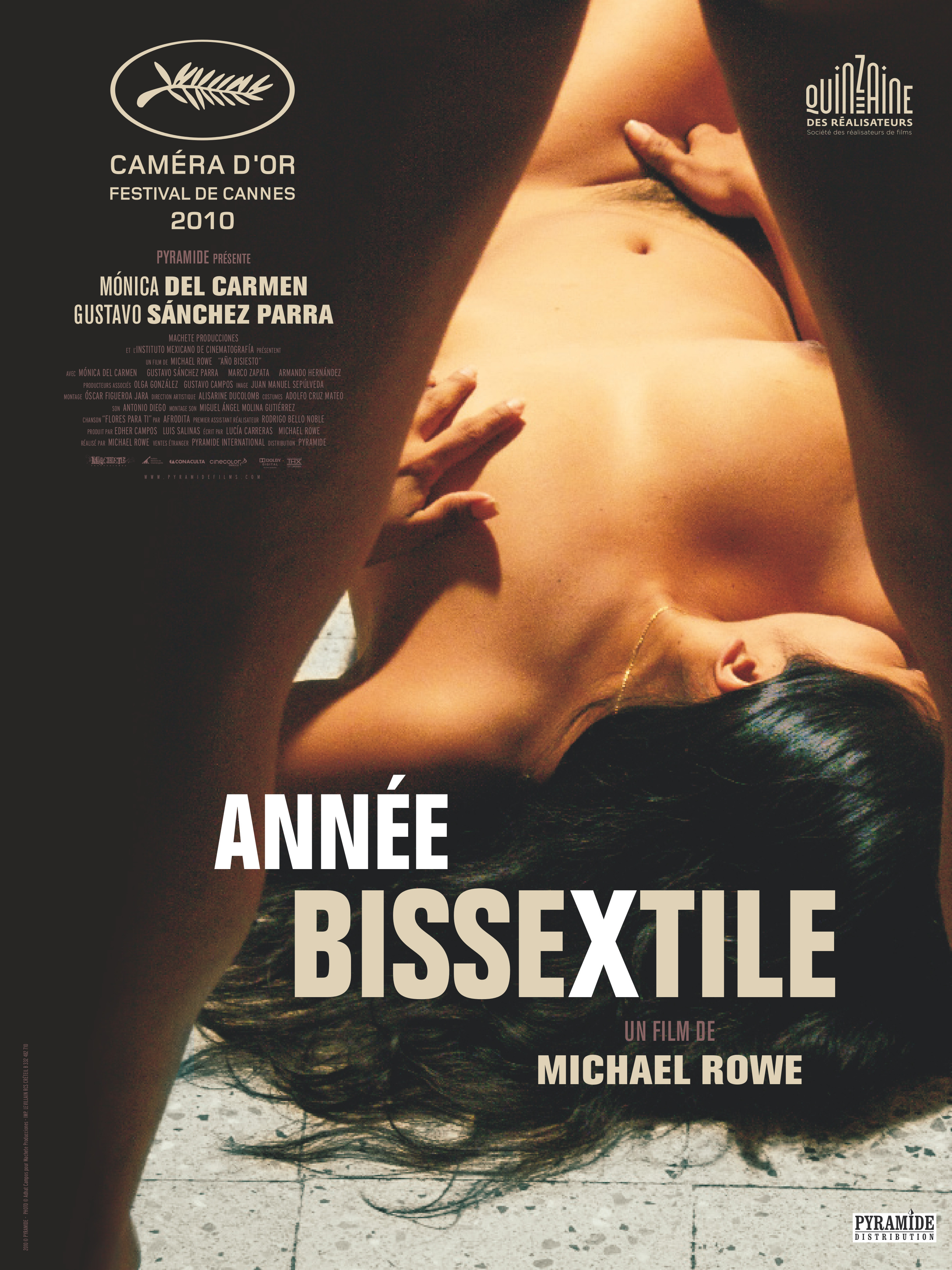 affiche du film Année bissextile