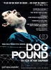 Dog Pound