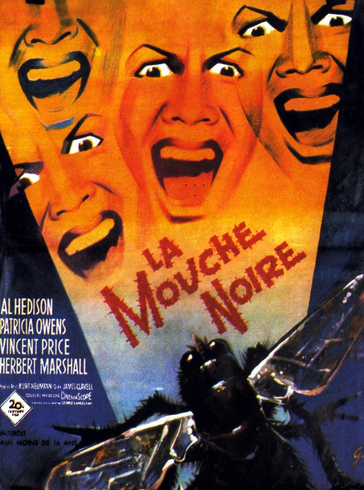 affiche du film La Mouche noire