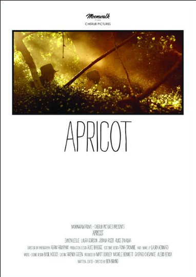 affiche du film Apricot
