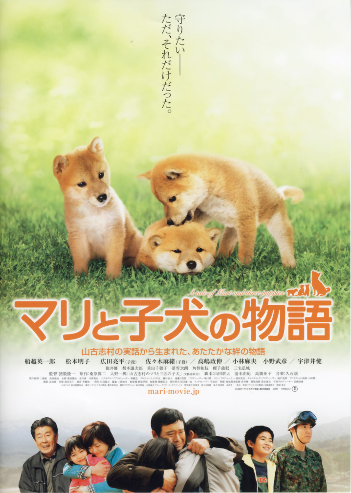 affiche du film A Tale of Mari and Three Puppies