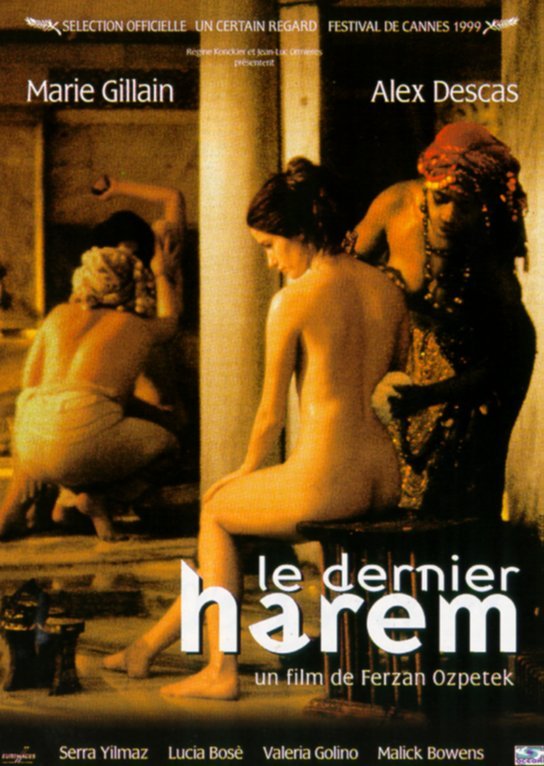 affiche du film Le Dernier harem