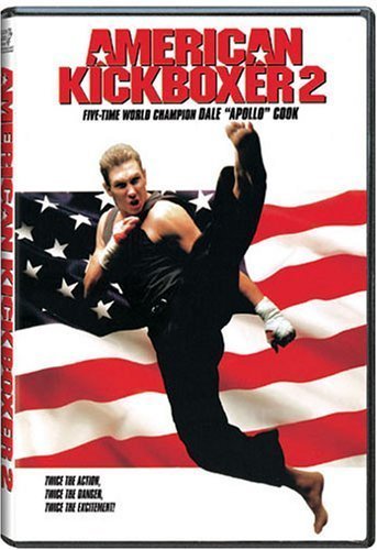 affiche du film American Kickboxer 2