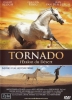 Tornado, l'Étalon du désert (Tornado and the Kalahari Horse Whisperer)
