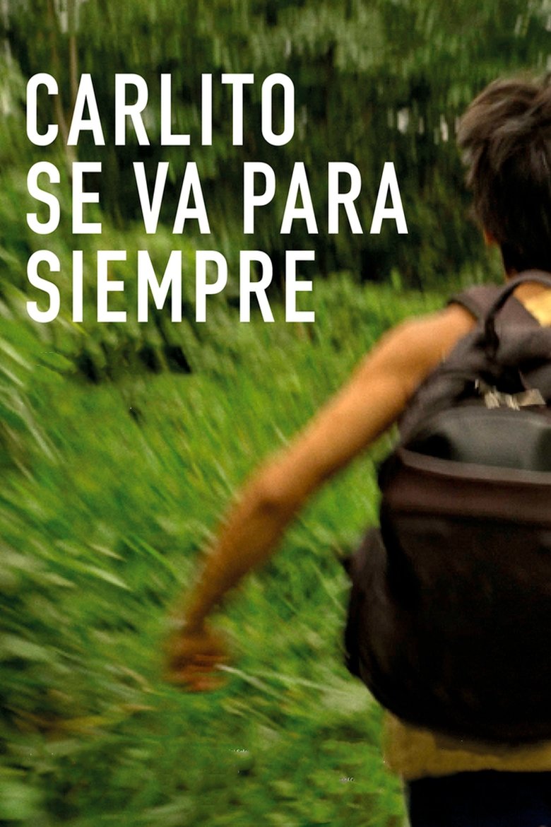 affiche du film Carlito part pour toujours