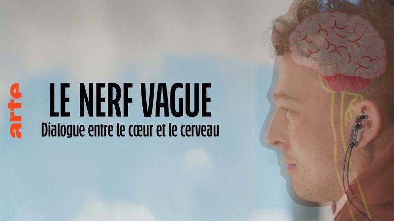 affiche du film Le nerf vague : dialogue entre le coeur et le cerveau