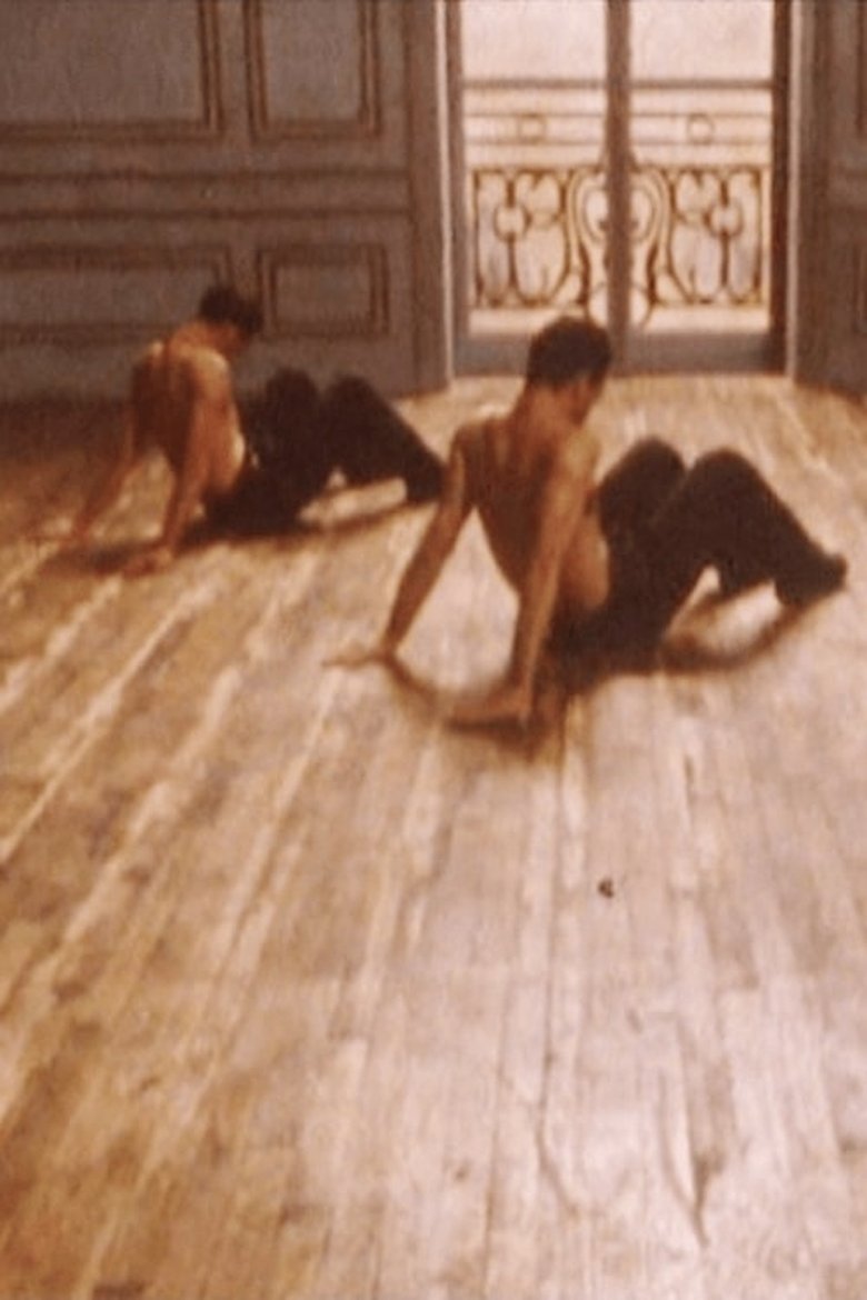 affiche du film Les Raboteurs