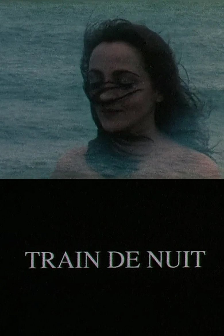 affiche du film Train de nuit