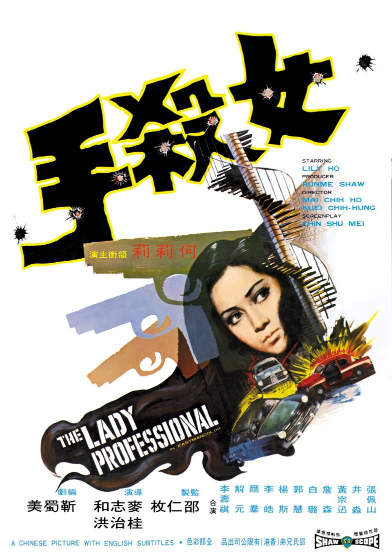 affiche du film The Lady Professional