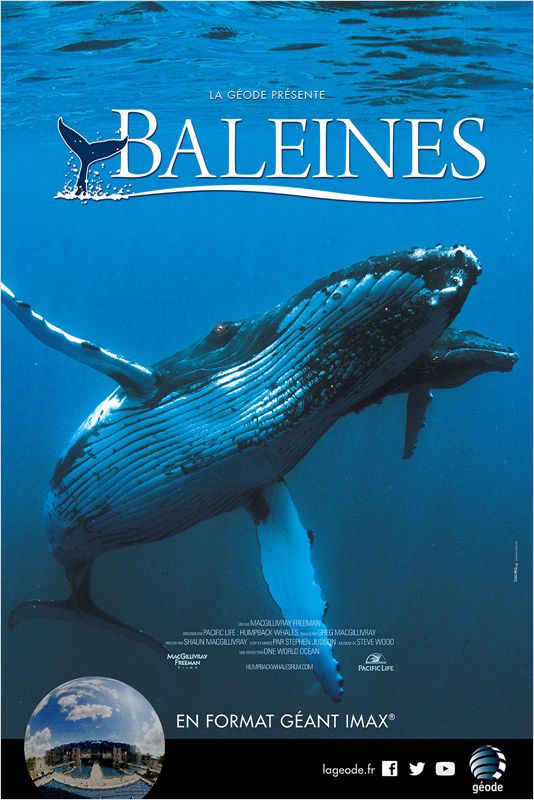 affiche du film Baleines