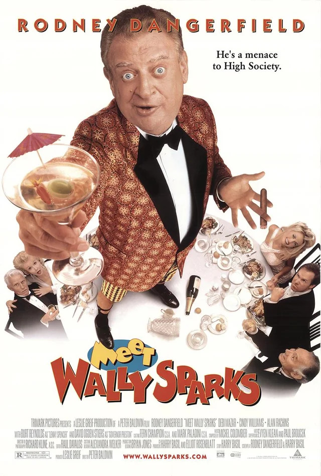 affiche du film Voici Wally Sparks